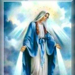 Meet your Posher, Maria